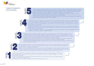 38
NIVEL
NIVEL
NIVEL
NIVEL
NIVEL
DOMINIO B. DINÁMICA DE
LOS ECOSISTEMAS
• Plantea problemas e hipótesis basándose en conocimientos cotidianos, teorías o modelos científicos. Estructura y ejecuta
un plan de indagación para recolectar y sistematizar información de diferentes fuentes. Diseña experiencias que le permitan
verificar su marco teórico. Interpreta y evalúa los datos obtenidos. Elabora conclusiones tomando como base la hipótesis
planteada. Expone y argumenta los resultados de su indagación, haciendo uso de recursos de las TIC.
• Comprende y describe la conformación del nivel ecológico de los ecosistemas y su relación con el flujo de materia y
energía. Analiza las teorías sobre el origen de la vida y la evolución de las especies.
• Propone y promueve acciones ecológicas encaminadas a incentivar la conservación de la biodiversidad y las especies en
peligro de extinción. Participa en dichas acciones ecológicas.
• Identifica problemas en los elementos que conforman los biomas, basándose en observaciones del medio. Diseña experien-
cias y predice los resultados; registra observaciones con uso de esquemas, gráficos o tablas. Coteja los resultados obtenidos
con información científica de diferentes fuentes, y los compara con los de otros compañeros. Interpreta resultados con base en
observaciones, datos e información obtenida, los relaciona con sus conocimientos, formula sus conclusiones y las comunica de
manera ordenada y argumentada.
• Identifica los factores físicos que determinan las características de las biorregiones del mundo y su biodiversidad. Explica los
diferentes tipos de interacciones que se dan entre las especies que ocupan un ecosistema. Describe el flujo de la energía entre
los seres vivos en una red alimenticia.
• Propone alternativas para mitigar el impacto de las actividades antrópicas en las biorregiones. Propone actividades de reciclaje
y cuidado de su ambiente, y participa en dichas actividades.
• Realiza experiencias guiadas para verificar las observaciones sobre ecosistemas o biomas. Plantea preguntas y formula
conjeturas con base en los datos obtenidos. Registra y compara los datos mediante el uso de esquemas, gráficos o tablas, y
los coteja con información de fuentes dadas. Interpreta los datos obtenidos de las experiencias realizadas; formula y comunica
conclusiones sobre la base de los resultados, de manera ordenada, por medio de informes.
• Describe la flora y fauna de diferentes biomas en función de las características climáticas que los determinan. Explica dife-
rentes formas de interrelación entre productores y consumidores que conforman una cadena alimenticia.
• Desarrolla diversas actividades orientadas a preservar la flora y fauna de los diferentes biomas. Practica acciones de conser-
vación de su ambiente inmediato.
• Realiza experiencias guiadas que tratan sobre las relaciones entre los seres vivos y su ambiente; registra sus observaciones.
Formula preguntas y conjeturas con base en los datos obtenidos. Comunica los resultados de las experiencias realizadas en
forma oral y escrita, y los representa gráficamente.
• Reconoce que el ambiente natural se forma por la interacción de elementos bióticos y elementos abióticos. Describe y compa-
ra relaciones sencillas entre los seres vivos que ocupan un mismo hábitat. Identifica y compara diferentes ambientes naturales.
• Propone y realiza acciones para preservar los diferentes ambientes naturales de acuerdo al lugar en que vive.
• Realiza experiencias sencillas para observar las relaciones que se establecen entre los animales, las plantas y el entorno inme-
diato; formula preguntas de lo que observa. Comunica sus conclusiones de forma oral, con sus propios códigos, o por medio
de representaciones gráficas.
• Reconoce características de los seres vivos y de los elementos físicos, de acuerdo al entorno en que vive. Describe animales
y plantas de otras regiones naturales del país.
• Practica acciones que demuestran el cuidado de los ambientes naturales de su entorno.
 
