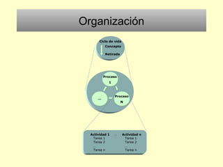 Organización
Ciclo de vida
Concepto
Retirada
Proceso
1
…
Proceso
N
Actividad 1
Tarea 1
Tarea 2
…
Tarea n
… Actividad n
Tarea 1
Tarea 2
…
Tarea n
 
