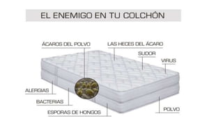 Estan los àcaros al acecho