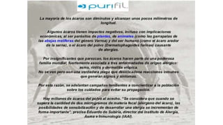 Estan los àcaros al acecho