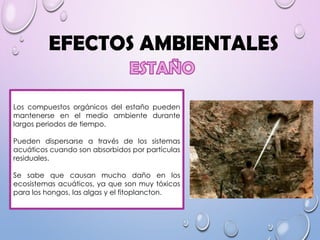 EFECTOS AMBIENTALES
Los compuestos orgánicos del estaño pueden
mantenerse en el medio ambiente durante
largos periodos de tiempo.
Pueden dispersarse a través de los sistemas
acuáticos cuando son absorbidos por partículas
residuales.
Se sabe que causan mucho daño en los
ecosistemas acuáticos, ya que son muy tóxicos
para los hongos, las algas y el fitoplancton.
 