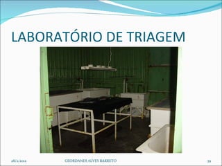 LABORATÓRIO DE TRIAGEM  28/2/2012 GEORDANDI ALVES BARRETO 