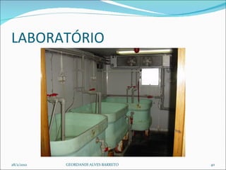 LABORATÓRIO  28/2/2012 GEORDANDI ALVES BARRETO 