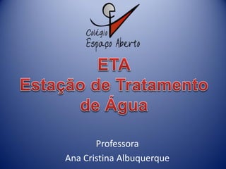 Professora
Ana Cristina Albuquerque
 