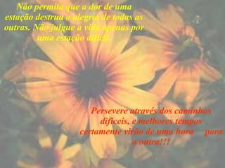 Não permita que a dor de uma estação destrua a alegria de todas as outras. Não julgue a vida apenas por uma estação difícil. Persevere através dos caminhos difíceis, e melhores tempos certamente virão de uma hora  para a outra!!! 
