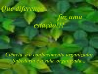 Que diferença  faz uma estação!!! Ciência, é o conhecimento organizado; Sabedoria é a vida  organizada... 