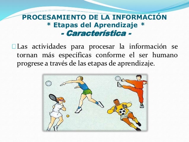 Aprendizaje Motor Etapas