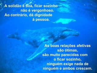 A solidão é boa, ficar sozinho  não é vergonhoso. Ao contrário, dá dignidade  à pessoa. As boas relações afetivas são ótimas, são muito parecidas com  o ficar sozinho, ninguém exige nada de ninguém   e ambos crescem. 