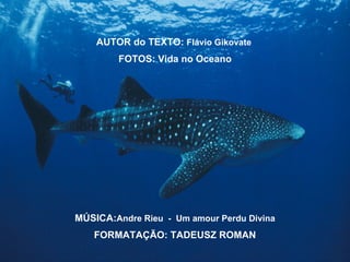 AUTOR do TEXTO:  Flávio Gikovate   FOTOS: Vida no Oceano MÚSICA: Andre Rieu  -  Um amour Perdu Divina FORMATAÇÃO: TADEUSZ ROMAN 