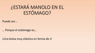 ¿ESTARÁ MANOLO EN EL
ESTÓMAGO?
Puede ser…
… Porque el estómago es…
¡Una bolsa muy elástica en forma de J!
 