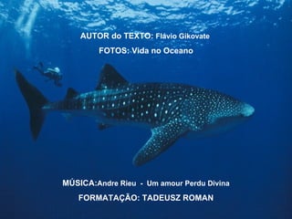 AUTOR do TEXTO: Flávio Gikovate
        FOTOS: Vida no Oceano




MÚSICA:Andre Rieu - Um amour Perdu Divina
   FORMATAÇÃO: TADEUSZ ROMAN
 