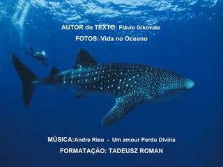 AUTOR do TEXTO:  Flávio Gikovate   FOTOS: Vida no Oceano MÚSICA: Andre Rieu  -  Um amour Perdu Divina FORMATAÇÃO: TADEUSZ ROMAN 