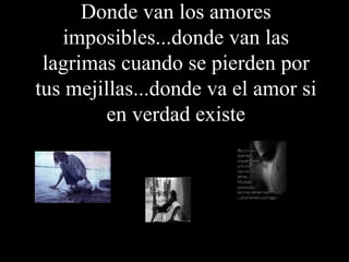 Donde van los amores imposibles...donde van las lagrimas cuando se pierden por tus mejillas...donde va el amor si en verdad existe 