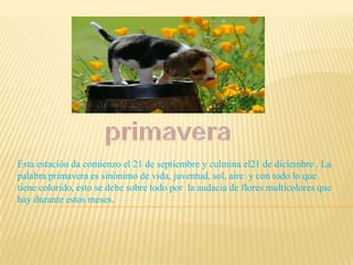 Esta estación da comienzo el 21 de septiembre y culmina el21 de diciembre . La
palabra primavera es sinónimo de vida, juventud, sol, aire y con todo lo que
tiene colorido, esto se debe sobre todo por la audacia de flores multicolores que
hay durante estos meses.
 