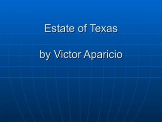 Estate of Texas by Victor Aparicio 