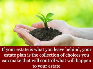 Estate Planning in Florida: Commonly Asked Questions and Practical Answers