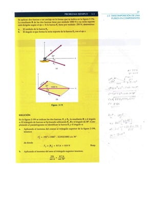 libro estatica de Riley