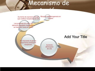 Company Logo
Mecanismo de
Acción.
Add Your Title
Aumento de expresion del gen
que codifica receptores de LDL
Las proteínas de unión del
elemento regulador desdoblan y
se traslocan hacia el núcleo
Bloqueo colesterogenesis en
hígado
En respuesta el gen se
incrementa síntesis de
receptores Aumento
eliminación
de LDL
 