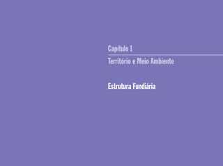 Capítulo 1
Território e Meio Ambiente
Estrutura Fundiária
 