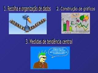 1. Recolha e organização de dados 2. Construção de gráficos 3. Medidas de tendência central 
