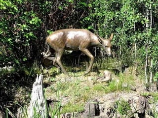 Estatuas divertidas & Interessantes