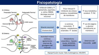 ↑Ca+ Intracel 🡪
Inhibición de síntesis
proteica, inestabilidad
de membrana
↑ uso de oxígeno
y glucosa
(inicialmente se
mantiene )
↑ tasa metabólica
cerebral: ↑ FSC
si continúa
convulsión: ↑
hipoxia: metabolismo
anaerobio :↑ lactato
Actividad motora
continua:
agotamiento
reservas de
glucógeno del
músculo
Metabolismo
anaeróbico : hipoxia
tisular, ACIDOSIS,
RABDOMIOLISIS
Deterioro del
miocardio: ↓GC
Hipoperfusión tisular: falla multiorgánica: MUERTE
Muerte neuronal
Citotoxicidad
Inhibición GABA y ↑
glutamato, aspartato,
a. colina: NMDA
descarga anormal
neuronal
Fisiopatología
 