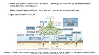 • Inhibe los canales presinápticos de calcio - disminuye la liberación de neurotransmisores,
actuando como neuromodulador.
• No es metabolizado por el hígado, tiene baja unión a proteínas, se excreta vía renal.
• Igual biodisponibilidad IV :Oral
Chamberlain, J.M.; Okada, P.; Holsti, M.; Mahajan, P.; Brown, K.M.; Vance, C.; Gonzalez, V.; Lichenstein, R.; Stanley, R.; Brousseau, D.C.; et al. Lorazepam vs. diazepam for pediatric
status epilepticus: A randomized clinical trial. JAMA 2014, 311, 1652–1660
 