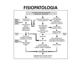 FISIOPATOLOGIA
 