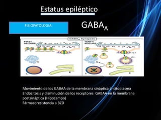 FISIOPATOLOGIA:Estatus epilépticoGABADeficit Glutamato DescarboxilasaGlutamatoAcetilcolinaSensibilidad Receptores NMDADefecto en Canales[ Na +][ Ca ++]DespolarizaciónPotencial de MembranaContacto con NeuronasFrecuenciaCRISIS CONVULSIVAS