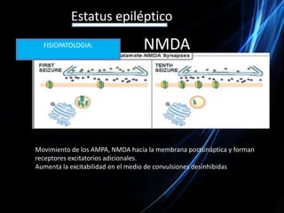 Estatus epilépticoFISIOPATOLOGIA:Tráfico de receptores: GABAA,AMPA,NMDACambios en la expresión de neuropéptidosDaño y muerte neuronal