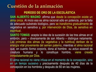 CCuueessttiióónn ddee llaa aanniimmaacciióónn 
PPEERRÍÍOODDOO DDEE OORROO DDEE LLAA EESSCCOOLLÁÁSSTTIICCAA 
 SSAANN AALLBBEERRTTOO MMAAGGNNOO:: aaffIIrrmmaa qquuee ddeessddee llaa ccoonncceeppcciióónn eexxiissttee uunn 
aallmmaa úúnniiccaa.. AAll iinniicciioo eessaa eess aallmmaa rraacciioonnaall ssóólloo eenn ppootteenncciiaa,, ppoorr llaa ffaallttaa 
ddee aaddeeccuuaaddoo ssuubbssttrraattoo bbiioollóóggiiccoo,, ppeerroo ssee ttrraannssffoorrmmaa ggrraadduuaallmmeennttee ddee 
vveeggeettaattiivvaa eenn sseennssiittiivvaa yy,, ppoorr iinntteerrvveenncciióónn ddee DDiiooss,, ddee sseennssiittiivvaa eenn 
eessppiirriittuuaall.. 
 SSAANNTTOO TTOOMMÁÁSS:: aacceeppttaa llaa iiddeeaa ddee llaa ssuucceessiióónn ddee llaass ttrreess aallmmaass eenn eell 
eemmbbrriióónn,, ppeerroo –– ddiivveerrssaammeennttee ddee ssaann AAllbbeerrttoo –– ddiissttiinngguuee nneettaammeennttee.. 
LLaass pprriimmeerraass ddooss aallmmaass ((llaa vveeggeettaattiivvaa yy llaa nnuuttrriittiivvaa)) ddeerriibbaann ddee llaa 
eenneerrggííaa vviittaall pprroovveenniieennttee ddeell sseemmeenn ppaatteerrnnoo,, mmiieennttrraass eell aallmmaa rraacciioonnaall 
qquuee,, eenn ccuuaannttoo ffoorrmmaa ccoorrppoorriiss,, ddoonnaa aall hhoommbbrree ssuu aaccttuuss eesssseennddii ddee 
ccrreeaattuurraa hhuummaannaa yy lloo ccoonnssttiittuuyyee hhoommbbrree,, vviieennee ccrreeaaddaa 
iinnmmeeddiiaattaammeennttee ppoorr DDiiooss.. 
EEll aallmmaa rraacciioonnaall nnoo vviieennee iinnffuussaa eenn eell mmoommeennttoo ddee llaa ccoonncceeppcciióónn,, ssiinnoo 
eenn uunn ttiieemmppoo ssuucceessiivvoo yy pprreecciissaammeennttee ddeessppuuééss ddee 4400 ddííaass ddee llaa 
ccoonncceeppcciióónn eenn llooss hhoommbbrreess yy ddeessppuuééss ddee 6600 eenn llaass mmuujjeerreess.. 
 