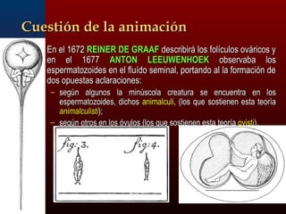 CCuueessttiióónn ddee llaa aanniimmaacciióónn 
EEnn eell 11667722 RREEIINNEERR DDEE GGRRAAAAFF ddeessccrriibbiirráá llooss ffoollííccuullooss oovváárriiccooss yy 
eenn eell 11667777 AANNTTOONN LLEEEEUUWWEENNHHOOEEKK oobbsseerrvvaabbaa llooss 
eessppeerrmmaattoozzooiiddeess eenn eell fflluuííddoo sseemmiinnaall,, ppoorrttaannddoo aall llaa ffoorrmmaacciióónn ddee 
ddooss ooppuueessttaass aaccllaarraacciioonneess:: 
– sseeggúúnn aallgguunnooss llaa mmiinnúússccoollaa ccrreeaattuurraa ssee eennccuueennttrraa eenn llooss 
eessppeerrmmaattoozzooiiddeess,, ddiicchhooss aanniimmaallccuullii,, ((llooss qquuee ssoossttiieenneenn eessttaa tteeoorrííaa 
aanniimmaallccuulliissttii));; 
– sseeggúúnn oottrrooss eenn llooss óóvvuullooss ((llooss qquuee ssoossttiieenneenn eessttaa tteeoorrííaa oovviissttii)).. 
 