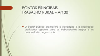 PONTOS PRINCIPAIS
TRABALHO RURAL – Art 30
 O poder público promoverá a educação e a orientação
profissional agrícola para os trabalhadores negros e as
comunidades negras rurais.
 