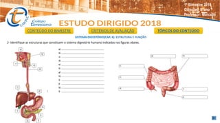 SISTEMA DIGESTÓRIO(CAP. 4): ESTRUTURA E FUNÇÃO
2- Identifique as estruturas que constituem o sistema digestório humano indicadas nas figuras abaixo.
CONTEÚDO DO BIMESTRE CRITÉRIOS DE AVALIAÇÃO TÓPICOS DO CONTEÚDO
1º Bimestre 2018
Ciências: 8°ano
Professor: Marcello
 