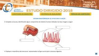 3- Complete as lacunas, identificando alguns componentes do intestino humano indicados nas duas imagens a seguir:
SISTEMA DIGESTÓRIO(CAP. 4): ESTRUTURA E FUNÇÃO
4- Explique a importância das estruturas representadas na figura acima para o processo digestivo.
CONTEÚDO DO BIMESTRE CRITÉRIOS DE AVALIAÇÃO TÓPICOS DO CONTEÚDO
1º Bimestre 2018
Ciências: 8°ano
Professor: Marcello
 
