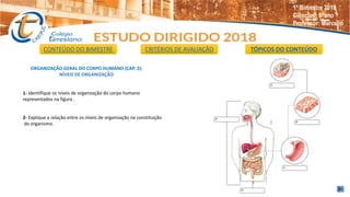ORGANIZAÇÃO GERAL DO CORPO HUMANO (CAP. 2):
NÍVEIS DE ORGANIZAÇÃO
1- Identifique os níveis de organização do corpo humano
representados na figura .
2- Explique a relação entre os níveis de organização na constituição
do organismo.
CONTEÚDO DO BIMESTRE CRITÉRIOS DE AVALIAÇÃO TÓPICOS DO CONTEÚDO
1º Bimestre 2018
Ciências: 8°ano
Professor: Marcello
 