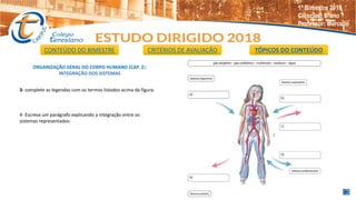 ORGANIZAÇÃO GERAL DO CORPO HUMANO (CAP. 2):
INTEGRAÇÃO DOS SISTEMAS
3- complete as legendas com os termos listados acima da figura.
4- Escreva um parágrafo explicando a integração entre os
sistemas representados:
CONTEÚDO DO BIMESTRE CRITÉRIOS DE AVALIAÇÃO TÓPICOS DO CONTEÚDO
1º Bimestre 2018
Ciências: 8°ano
Professor: Marcello
 