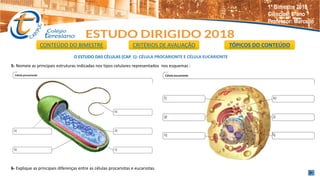 O ESTUDO DAS CÉLULAS (CAP. 1): CÉLULA PROCARIONTE E CÉLULA EUCARIONTE
5- Nomeie as principais estruturas indicadas nos tipos celulares representados nos esquemas :
6- Explique as principais diferenças entre as células procariotas e eucariotas.
CONTEÚDO DO BIMESTRE CRITÉRIOS DE AVALIAÇÃO TÓPICOS DO CONTEÚDO
1º Bimestre 2018
Ciências: 8°ano
Professor: Marcello
 
