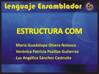 María Guadalupe Olvera Nolasco
Verónica Patricia Pasillas Gutierrez
Luz Angélica Sánchez Castruita
 