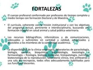 FORTALEZAS
• El cuerpo profesoral conformado por profesores de tiempo completo y
medio tiempo con formación Doctoral y de Maestría.
• El currículo, coherente con la misión institucional y con los objetivos
del programa, actual, pertinente e interdisciplinario, buscando una
formación integral en salud animal y salud pública veterinaria.
• Los recursos bibliográficos, informáticos y de comunicaciones,
adecuados y suficientes en cantidad y calidad, actualizados y
accesibles a los miembros de la comunidad académica.
• La disponibilidad de la clínica veterinaria, laboratorios de parasitología,
biología, química, bioquímica, microbiología, toxicología –
farmacología – fisiología, biología molecular, histopatología, nutrición,
biotecnología de la reproducción, laboratorio clínico, tres anfiteatros y
una sala de necropsias, todos ellos adecuadamente habilitados para
sus funciones docentes.
 