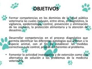 OBJETIVOS
• Formar competencias en los dominios de la salud pública
veterinaria las cuales incluyen, entre otras, el diagnóstico, la
vigilancia, epidemiología, control, prevención y eliminación
de las zoonosis, la protección alimentaria y la atención de
desastres.
• Desarrollar competencias en el proceso diagnóstico que
permita identificar las diferentes patologías que afectan a la
especie animal, con el fin de establecer las medidas
correctivas o de control, propias e inherentes al problema.
• Fomentar la actividad investigativa y de extensión como una
alternativa de solución a los problemas de la medicina
veterinaria.
 