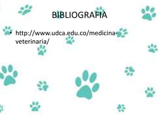 BIBLIOGRAFIA
• http://www.udca.edu.co/medicina-
veterinaria/
 