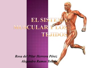 Rosa del Pilar Herrera Pérez
   Alejandro Ramos Toledo
 