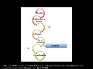 Santos L, Hernández G, Varón A, Beltrán O. Enfermedad hepática por infiltración grasa no alcohólica: La nueva
pandemia del milenio. Rev Col Gastroenterol ; 25(4): 380-398.
 