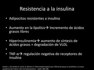 Resistencia a la insulina
• Adipocitos resistentes a insulina
• Aumento en la lipolisis Incremento de ácidos
grasos libres
• Hiperinsulinemia aumento de síntesis de
ácidos grasos + degradación de VLDL
•
• TNF-α regulación negativa de receptores de
insulina
Santos L, Hernández G, Varón A, Beltrán O. Enfermedad hepática por infiltración grasa no alcohólica: La nueva
pandemia del milenio. Rev Col Gastroenterol ; 25(4): 380-398.
 