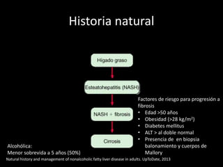 Historia natural
Alcohólica:
Menor sobrevida a 5 años (50%)
Factores de riesgo para progresión a
fibrosis
• Edad >50 años
• Obesidad (>28 kg/m2)
• Diabetes mellitus
• ALT > al doble normal
• Presencia de en biopsia
balonamiento y cuerpos de
Mallory
Natural history and management of nonalcoholic fatty liver disease in adults. UpToDate, 2013
 