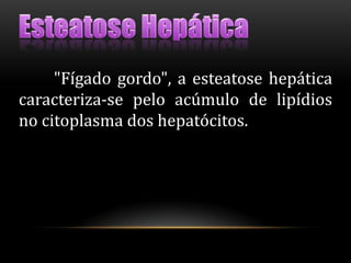 "Fígado gordo", a esteatose hepática
caracteriza-se pelo acúmulo de lipídios
no citoplasma dos hepatócitos.
 