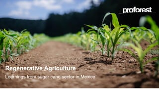 Regenerative Agriculture
Learnings from sugar cane sector in Mexico
 