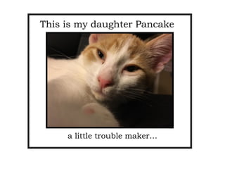 This is my daughter Pancake
a little trouble maker…
 