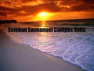 Esteban Emmanuel Campos Solís 11003125 